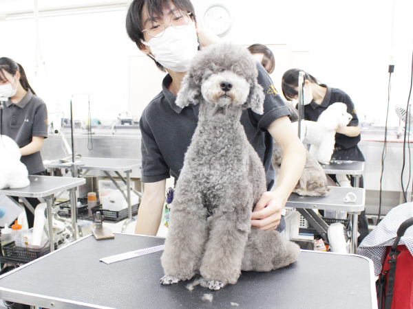 本日もかわいいお客様が来校♪